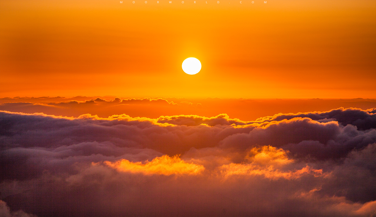 2025年10月凯思博观点